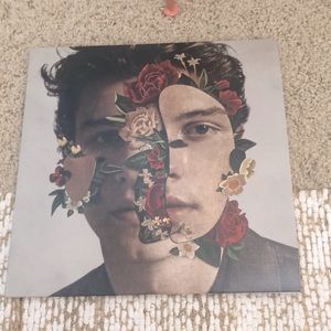 Shawn mendes record